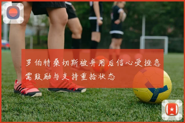 罗伯特桑切斯被弃用后信心受挫急需鼓励与支持重拾状态