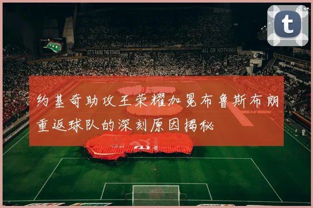 约基奇助攻王荣耀加冕布鲁斯布朗重返球队的深刻原因揭秘